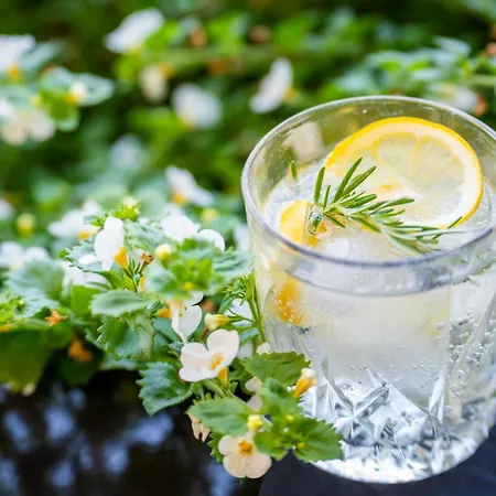 Gasthuis Penzion Sterk