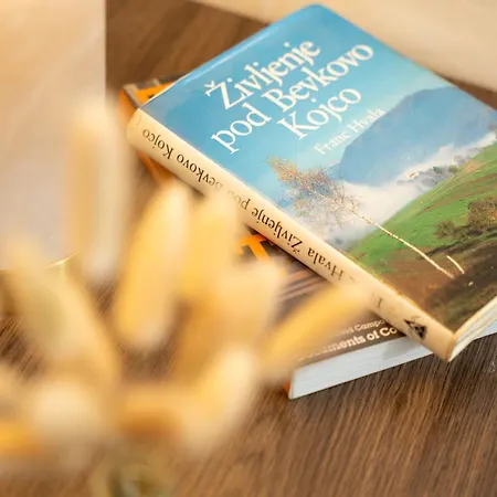 Gasthuis Penzion Sterk Most na Soči