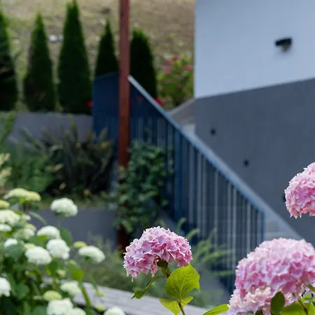 Guest house Penzion Sterk Most Na Soci