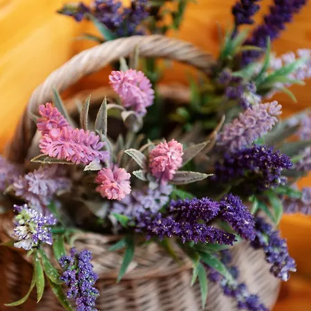 Penzion Sterk Most na Soči