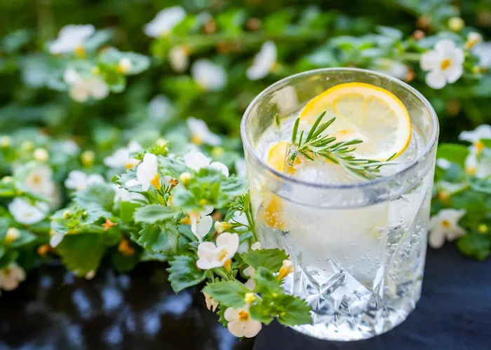 Affittacamere šterk