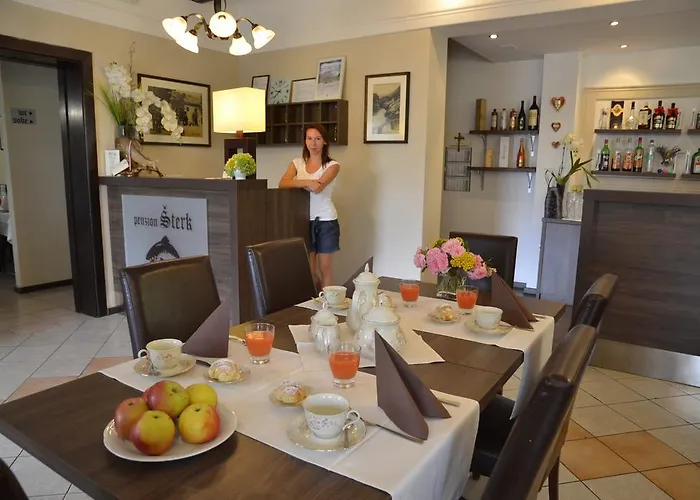 Affittacamere šterk