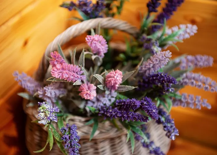 Penzion Sterk 모스트나소시